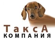 Сдача налоговой отчетности в Астане